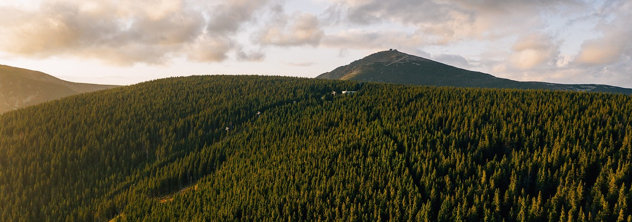 Jeden bowiem jest Bóg, jeden też pośrednik między Bogiem a ludźmi, człowiek Chrystus Jezus;  Który wydał samego siebie na okup za wszystkich, na świadectwo we właściwym czasie.