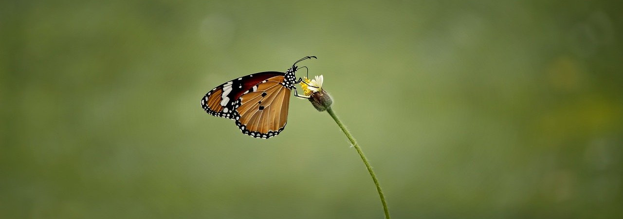 Umie Pan pobożnych wyrwać z pokusy, a niesprawiedliwych zachować na dzień sądu, aby byli ukarani; 