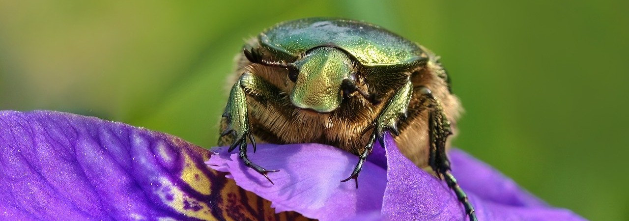  A w ich synagodze był człowiek mający ducha nieczystego, który zawołał:  Ach, cóż my z tobą mamy, Jezusie z Nazaretu? Przyszedłeś nas zniszczyć? Wiem, kim jesteś: Świętym Boga.