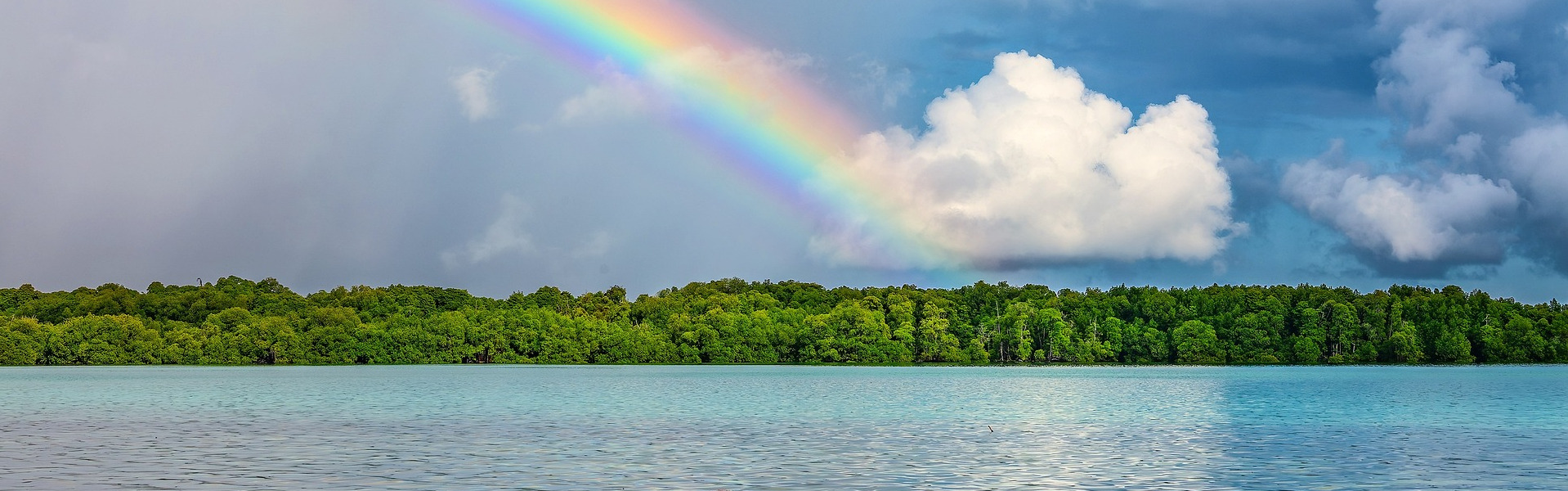 Dla czystych wszystko jest czyste, natomiast dla skalanych i niewierzących nie ma nic czystego, lecz skalany jest zarówno ich umysł, jak i sumienie.