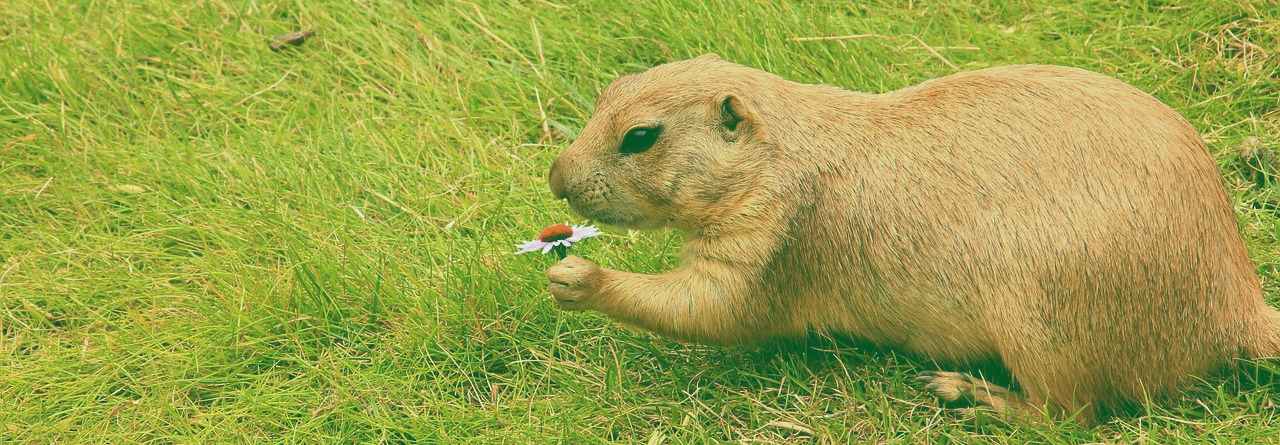 Bo gdy będą mówić: Pokój i bezpieczeństwo – wtedy przyjdzie na nich nagła zguba, jak bóle na kobietę brzemienną, i nie ujdą. Lecz wy, bracia, nie jesteście w ciemności, aby ten dzień zaskoczył was jak złodziej. 