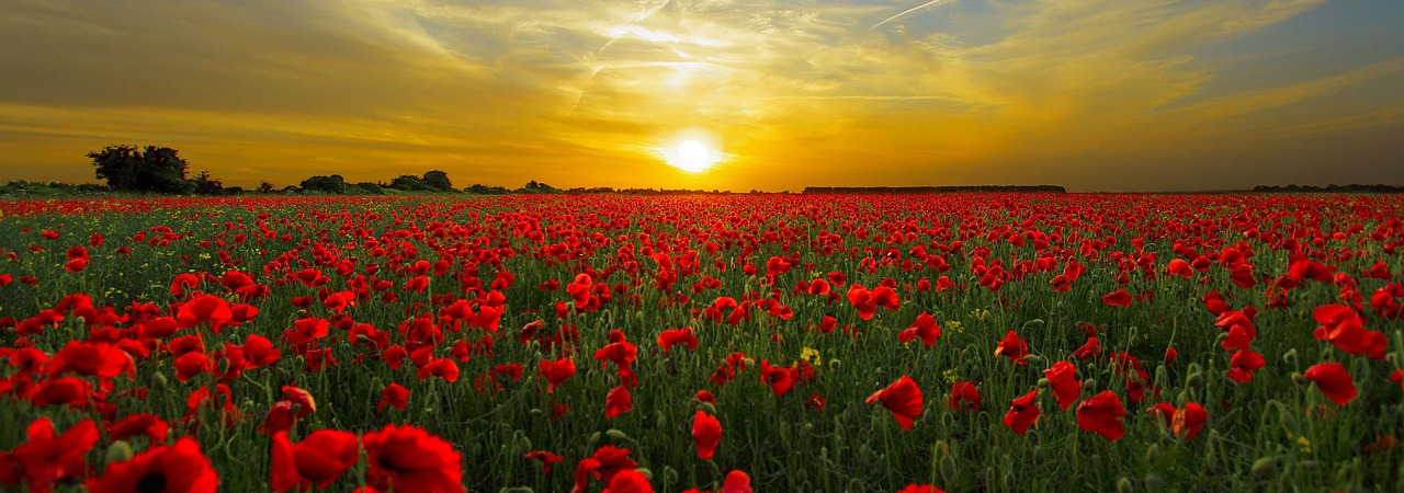 Uważajcie, żeby was ktoś nie obrócił na własną korzyść przez filozofię i próżne oszustwo, oparte na ludzkiej tradycji, na żywiołach świata, a nie na Chrystusie. Gdyż w nim mieszka cieleśnie cała pełnia Bóstwa.