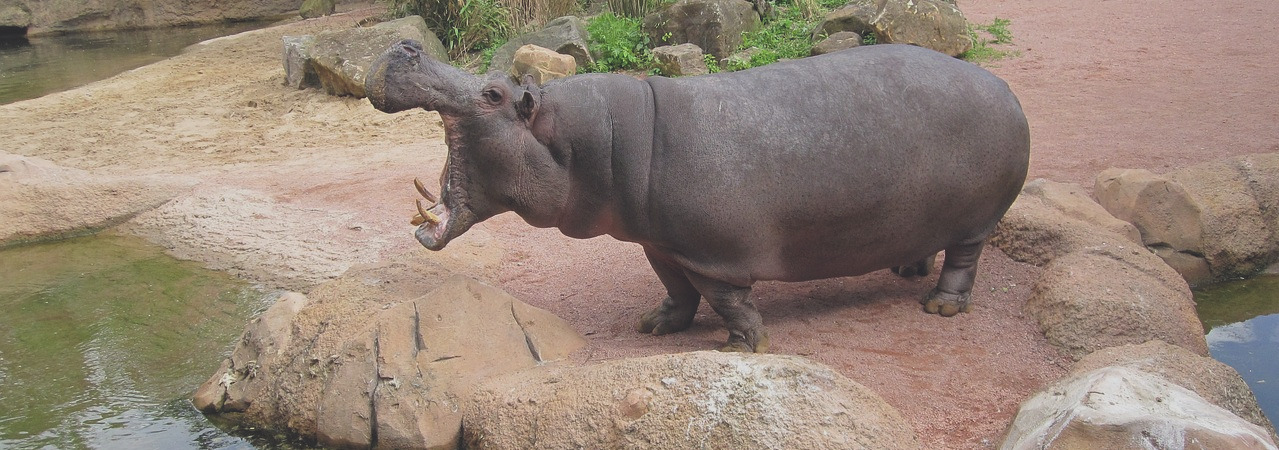 Lecz choćbyśmy nawet my albo anioł z nieba głosił wam ewangelię inną od tej, którą wam głosiliśmy, niech będzie przeklęty. Jak powiedzieliśmy przedtem, tak i teraz znowu mówię: Gdyby wam ktoś głosił ewangelię inną od tej, którą przyjęliście, niech będzie przeklęty.